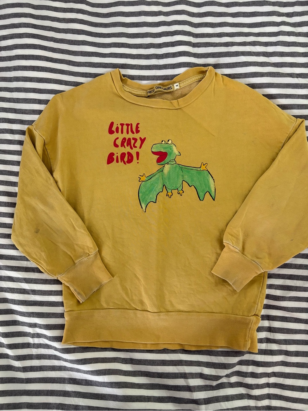Fresh Dinosaurs "Little Crazy Bird" Graphic Sweatshirt